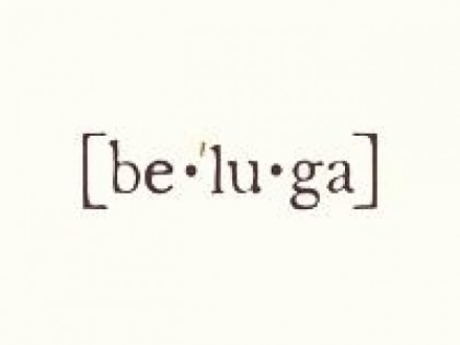 照片: Be-Luga